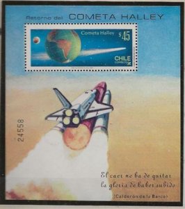 Dime Auction Chili 702a m