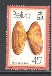 Belize 481 used (DT)