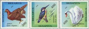 Belorussia Belarus 1994 birds from the Red book set of 3 stamps MNH