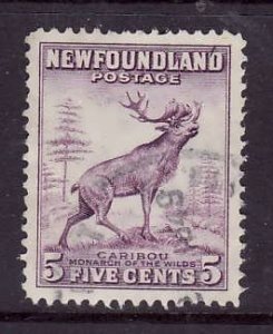 Newfoundland- Sc#257-used 5c Caribou-id5-1941-44-