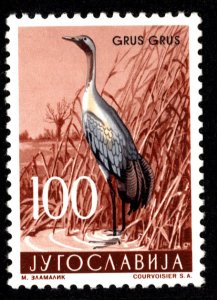 Yugoslavia Scott 505 Mint never hinged.