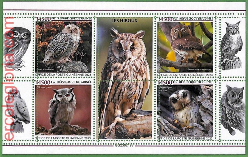 B1561 - GUINEE - ERROR MISPERF Stamp Sheet - 2023 - Birds, OWLS-