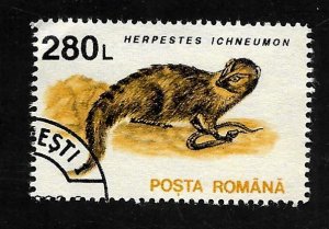Romania 1993 - U - Scott #3844
