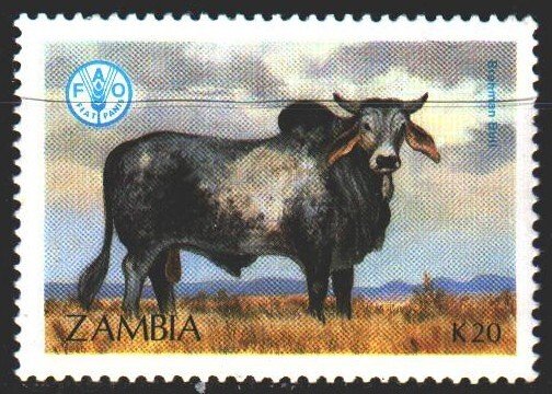 Zambia. 1987. 432 from the series. Pets, zebu. MLH.