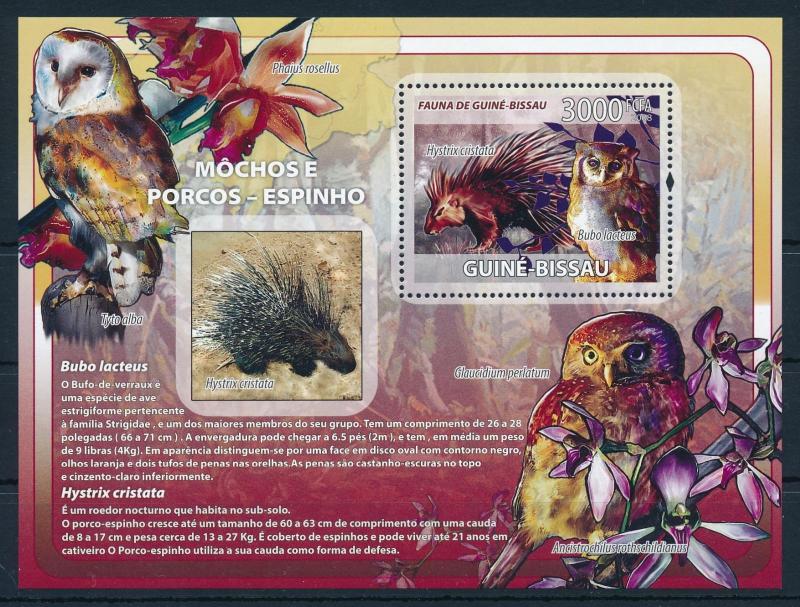 [96484] Guinea Bissau 2008 Wild Life Birds Owls Orchids Porcupine Sheet MNH