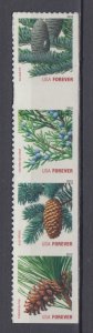 (F) ​USA Sc#4482-85 Holiday Evergreens  Strip of 4  from ATM Booklet MNH