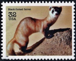 SC#3105a 32¢ Endangered Species: Black-footed Ferret Single (1996) MNH