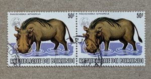 Burundi 1983 50fr Warthog, used PAIR.  WWF emblem.  Scott 596a, CV $120.00