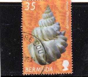 Bermuda 2002 Sea Shells used
