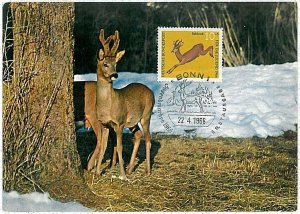 32186 - Germany - POSTAL HISTORY - MAXIMUM CARD - 1966: Deers, Hunting-