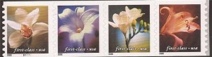 US Stamp 2000 (34c) Flowers Strip of 4 34c Coil Stamps Scott #3465a