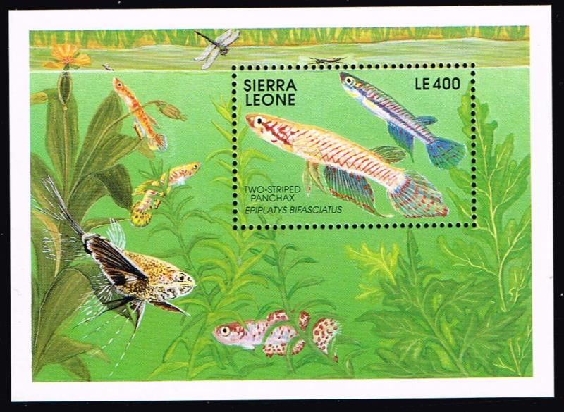 Sierra Leone # 1364 MNH