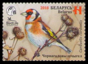 2018 Belarus 1243 European Goldfinch. Bird of the year