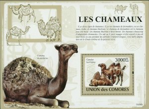 Camels Stamp Camelus Dromedarius Camelus Bactrianus S/S MNH #2134 / Bl.476