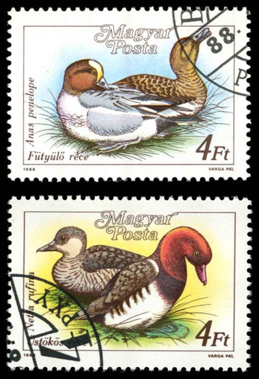 HUNGARY Sc 3138-39 VF/Used - 1988 Waterfowl