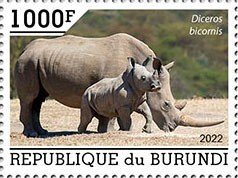 BURUNDI - 2022 - Rhinos - Perf Single Stamp - Mint Never Hinged