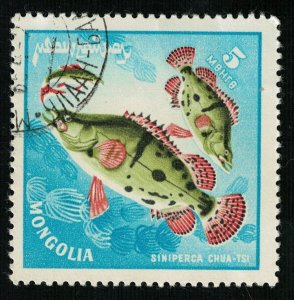 Fish (TS-2246)