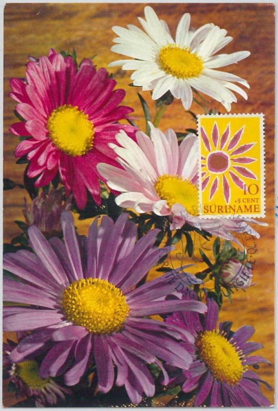 63930 - SURINAME - POSTAL HISTORY: MAXIMUM CARD 1970 - FLOWERS-