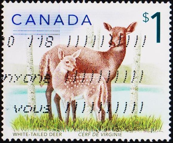 Canada. 2000? $1 Fine Used