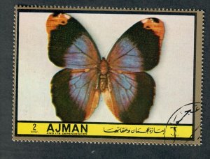 Ajman Butterfly used single