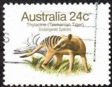 Australia 788a - Used - 24c Tasmanian Tiger (Type 2) (1981) (cv $0.40) (1) +