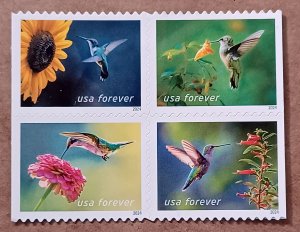 United States #5845-5848 (68c) Garden Delights MNH block of 4 (2024)