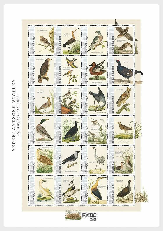 Stamps Caribbean Netherlands  - Birds 2021 (St. Eustatius) - Miniature Sheet.