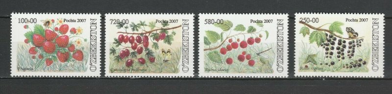 Uzbekistan 2007 Berries 4 MNH stamps