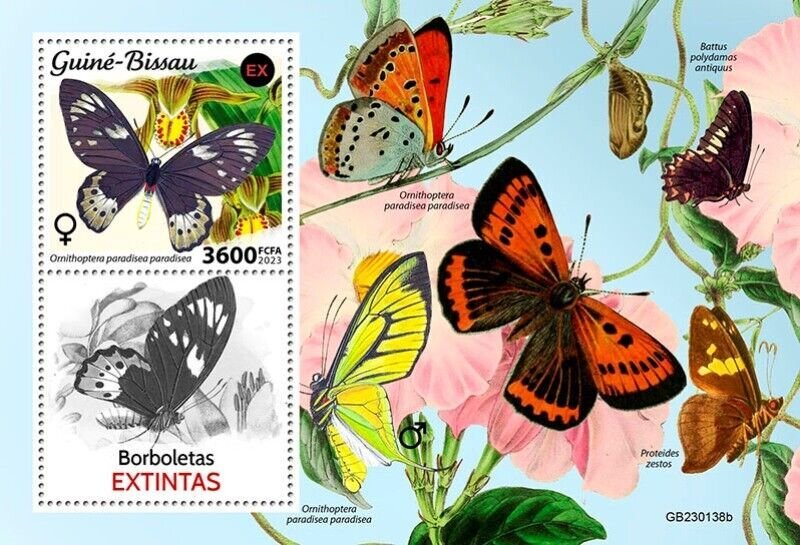 Guinea-Bissau - 2023 Extinct Butterflies - Stamp Souvenir Sheet - GB230138b