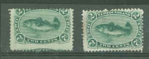 Newfoundland #24/24a Unused Multiple