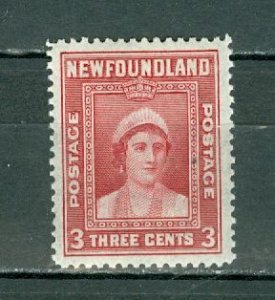 NEWFOUNDLAND 1941 QUEEN #255  PERF 12.5...  MNH