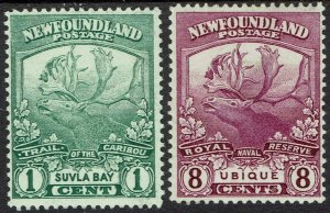 NEWFOUNDLAND 1919 CARIBOU 1C AND 8C