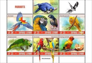 2024 03- SIERRA LEONE - PARROTS          6V  complet set    MNH ** T