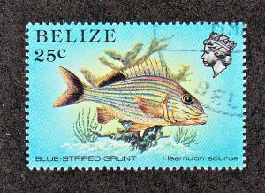 Belize Scott #707 Used