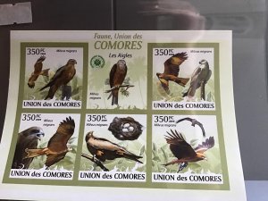 Comoro Islands 2009 Birds  mint never hinged stamp sheet R24051