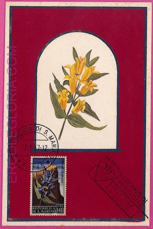 ag3475 - SAN MARINO - POSTAL HISTORY - Maximum Card - 1967 - Flowers-