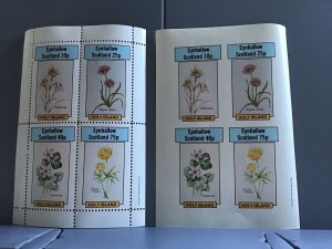 Holy Island Eynhallow Scotland Flowers plants Alpine Aster MNH stamps  R24121