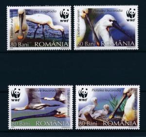 [53513] Romania 2006 Birds Vögel Oiseaux Ucelli WWF  MNH