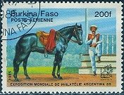 Burkina Faso; 1985: Sc. # 729: O/Used CTO Single Stamp