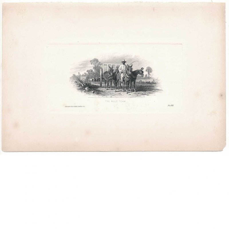 “The Mule Team”, Vignette Die Proof, American Bank Note Co. 1860, George Thomas