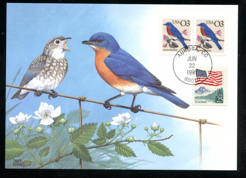 US 2478 3c Eastern Bluebird - Flora & Fauna UA Unicover Maximum card