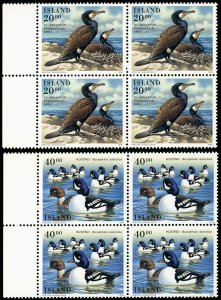 ICELAND 814-15 VF/MNH BLOCK OF 4 - 1996 Water Birds Complete Set in Blocks