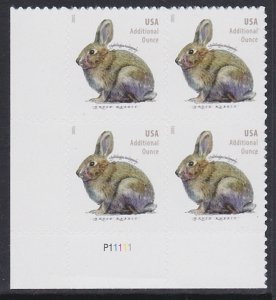 5544 Brush Rabbit Plate Block MNH