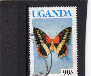 Uganda Butterflies used