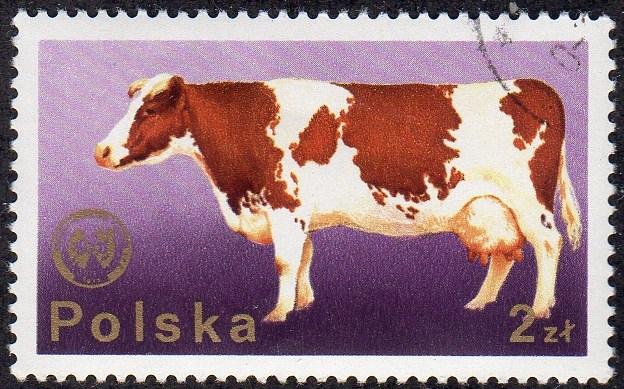 Poland 2100 - Cto - 2z Cow (1975)