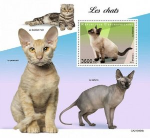 Central Africa - 2021 Siamese Cat Breed - Stamp Souvenir Sheet - CA210404b