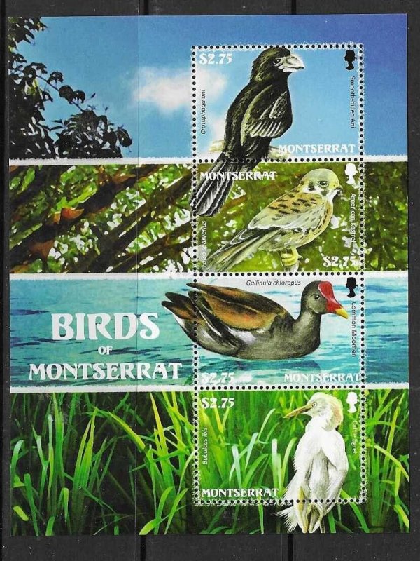 MONTSERRAT SGMS1428 2009 BIRDS OF MONSERRAT  MNH