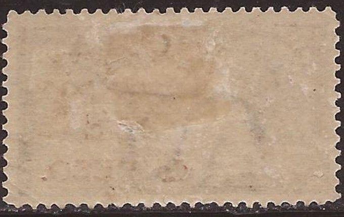 US Stamp - 1885 10c Special Delivery Stamp -    #E1