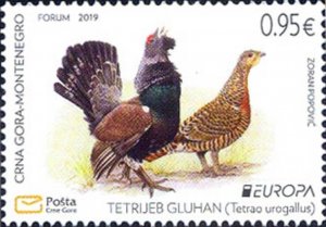 Montenegro 2019 MNH Stamps Scott 442 Europa CEPT Birds Capercaillie