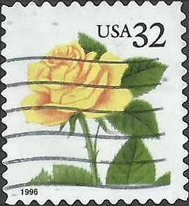 # 3049 USED YELLOW ROSE